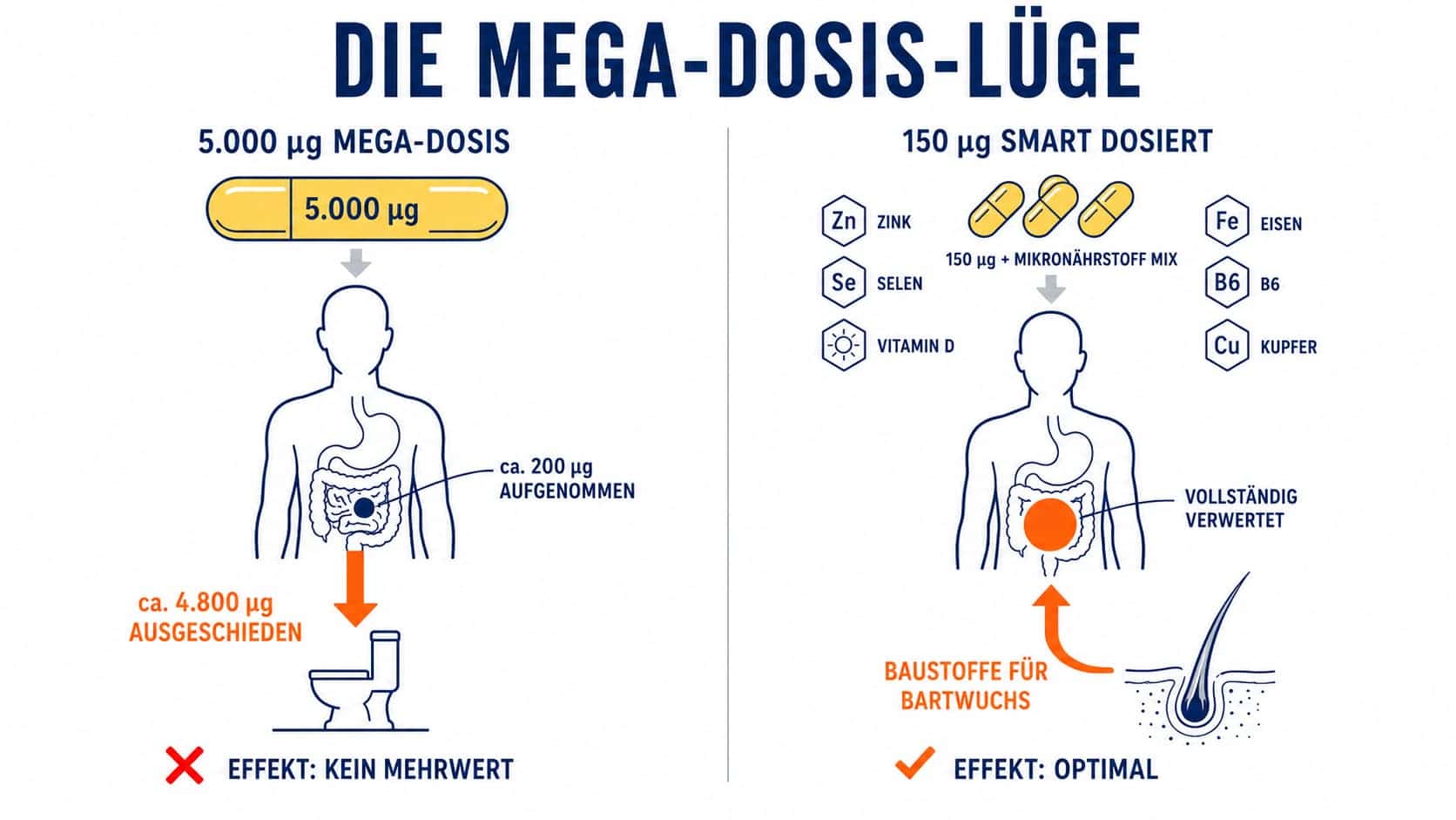 Biotin Bart Dosierung – Mega-Dose versus smart dosierter Mikronährstoff-Mix