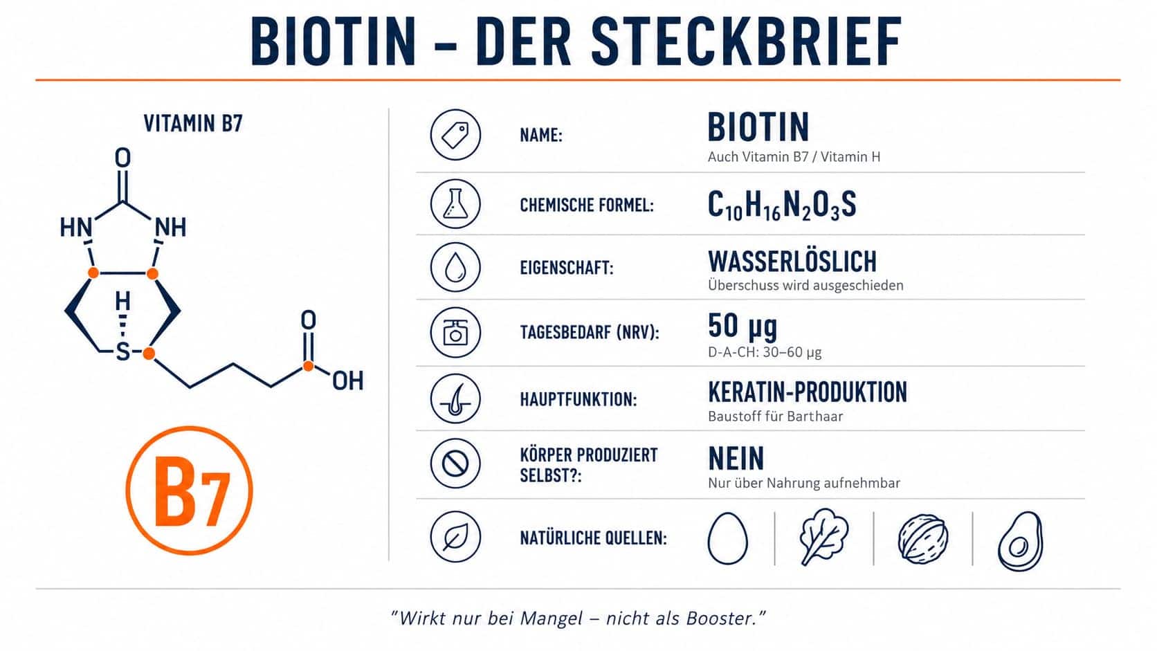 Biotin Bart Steckbrief – alle Fakten zum Vitamin B7 für den Bartwuchs