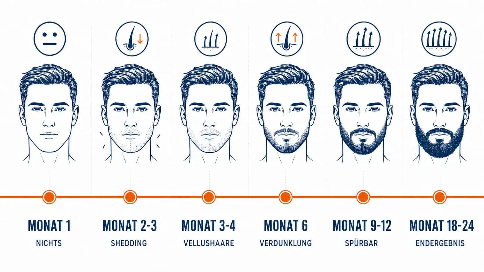 Minoxidil Bart vorher nachher – Zeitleiste 24 Monate Verlauf